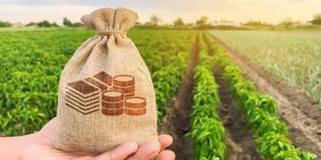 Caixa lança duas linhas de crédito específicas para o agronegócio