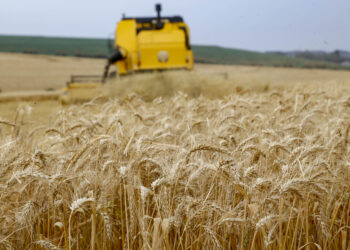 Invasão russa faz preço de grãos disparar e terá consequências sobre a inflação
