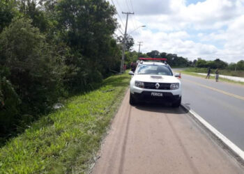 Empresário morre após bater moto em poste e ser atacado por abelhas na Grande Curitiba