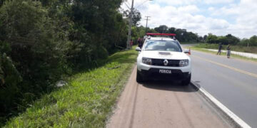 Empresário morre após bater moto em poste e ser atacado por abelhas na Grande Curitiba