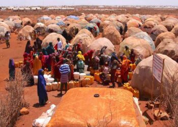 Sudeste africano: 13 milhões de pessoas passam fome por causa da seca