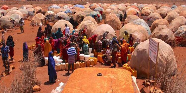 Sudeste africano: 13 milhões de pessoas passam fome por causa da seca