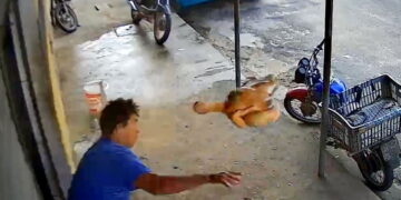 Homem tenta evitar assalto jogando frango abatido em ladrão