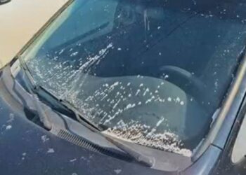 Fuligem misteriosa em Araucária, na RMC, preocupa. Qual é o motivo?