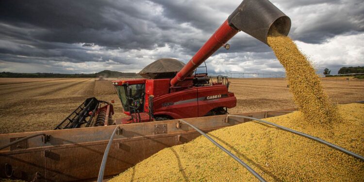 IBGE prevê safra de 271,9 milhões de toneladas para 2022