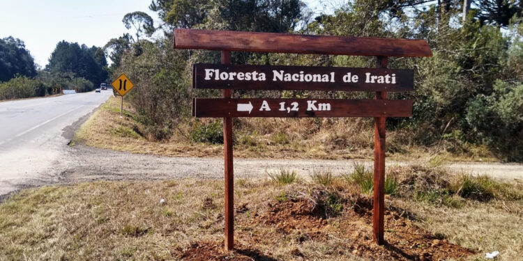 Governo inicia consulta pública sobre concessões de florestas na Região Sul