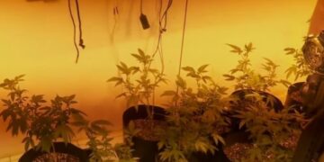 Laboratório de drogas é fechado pela polícia em Curitiba