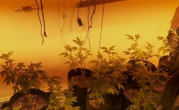 Laboratório de drogas é fechado pela polícia em Curitiba