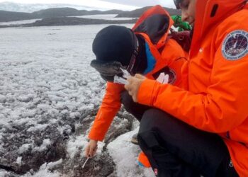 Micróbios da Antártida que comem combustível podem ajudar na limpeza de plástico