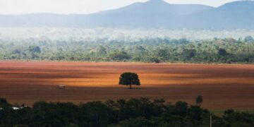 Microempresário ganhou direito de explorar nióbio em áreas da Amazônia