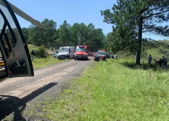 Menina de 12 anos morre ao ser atingida por galho de árvore no Recanto dos Papagaios