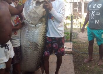 Pescador captura peixe de mais de 100 quilos no litoral do RN: ‘Foi luta pra tirar da água’