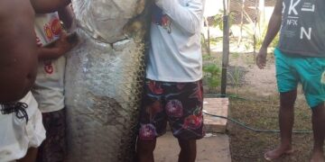 Pescador captura peixe de mais de 100 quilos no litoral do RN: ‘Foi luta pra tirar da água’