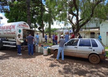 Conheça o Programa de Inseminação Artificial em gado leiteiro
