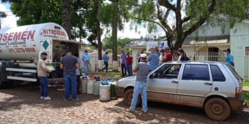 Conheça o Programa de Inseminação Artificial em gado leiteiro