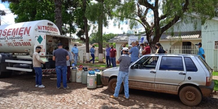 Conheça o Programa de Inseminação Artificial em gado leiteiro