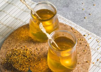 Universidade do Paraná inventa curativo adesivo com própolis para lesões da pele