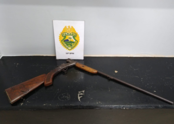 Menor portava arma de fogo no Santana