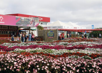 Estado apresenta soluções e tecnologias voltadas ao campo durante o Show Rural