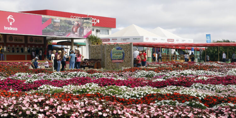 Estado apresenta soluções e tecnologias voltadas ao campo durante o Show Rural