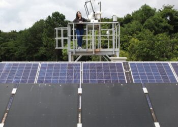 Edição especial de 75 anos da revista científica do Tecpar reúne artigos de paranaenses