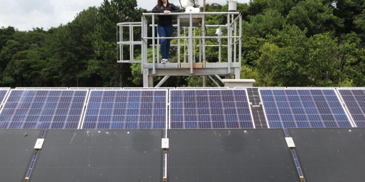 Edição especial de 75 anos da revista científica do Tecpar reúne artigos de paranaenses