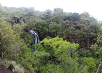 Conselho de Recuperação de Bens Ambientais convida ONGs para apresentação de projetos