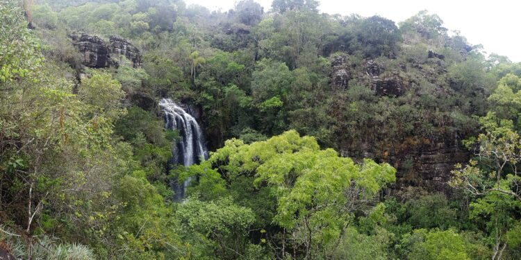 Conselho de Recuperação de Bens Ambientais convida ONGs para apresentação de projetos