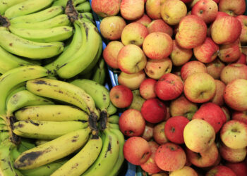 Homologado o resultado da chamada pública da agricultura familiar para alimentação escolar
