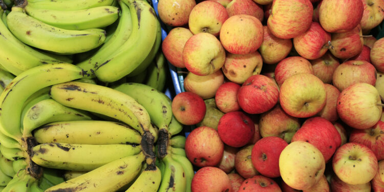 Homologado o resultado da chamada pública da agricultura familiar para alimentação escolar