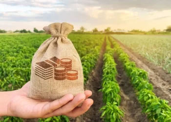 Brasil vai receber US$ 1 bi para projetos de sustentabilidade agrícola