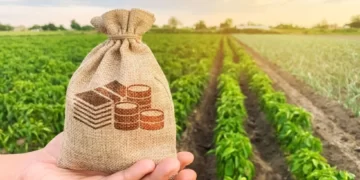 Brasil vai receber US$ 1 bi para projetos de sustentabilidade agrícola