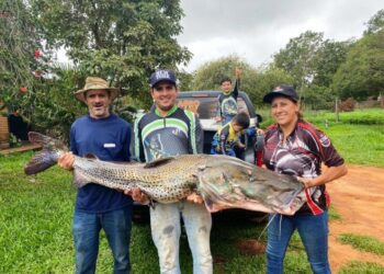 Família pesca peixe de mais de 40 kg no Rio Paraná