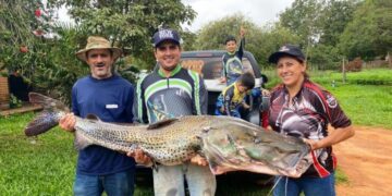 Família pesca peixe de mais de 40 kg no Rio Paraná