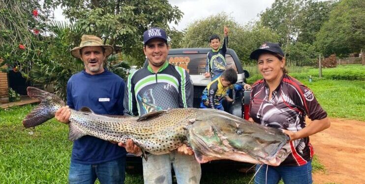 Família pesca peixe de mais de 40 kg no Rio Paraná