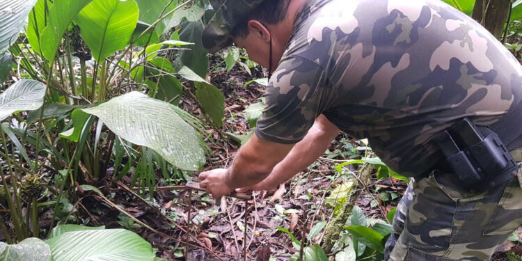 Batalhão de Polícia Ambiental aumenta parcerias e multas crescem R$ 19 milhões em 2 anos