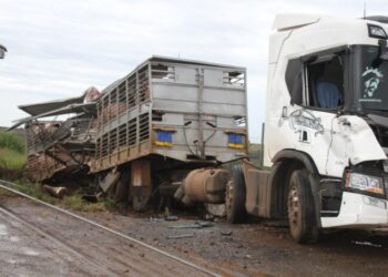 Carreta carregada com porcos é atingida por trem em Cambira