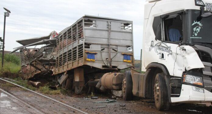 Carreta carregada com porcos é atingida por trem em Cambira