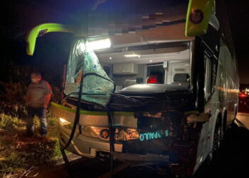 Motorista fica ferido após atropelar cavalo na PR-444