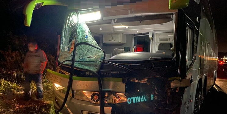 Motorista fica ferido após atropelar cavalo na PR-444
