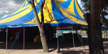 Hoje é Dia do Circo