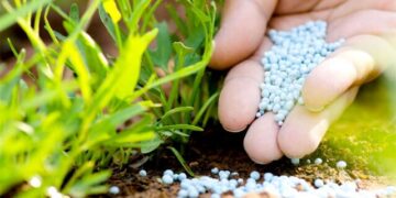 Embrapa visita polos agrícolas para mostrar como aumentar a eficiência dos fertilizantes