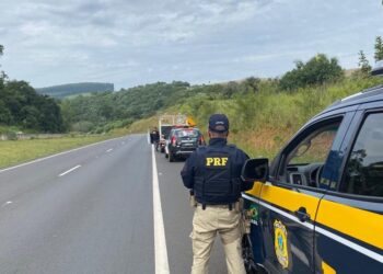 PRF encontra corpo de homem às margens da BR-376, em Imbaú