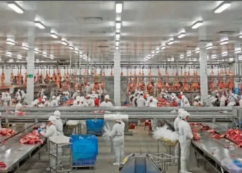 China suspende importação de carne de unidade da JBS