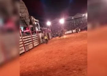 SP: peão morre após ser pisoteado por touro em prova de rodeio