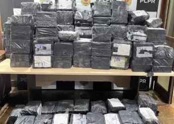 Maconha que estava vindo para Guarapuava foi presa em Cascavel