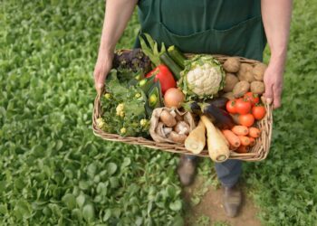 Certificação de orgânicos exige mudança na conduta do produtor em cuidados ambientais
