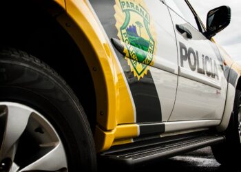 Estelionato no Distrito de Palmeirinha