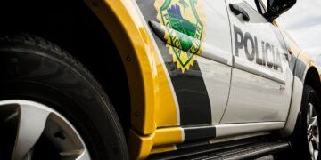 Estelionato no Distrito de Palmeirinha