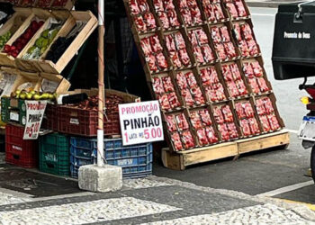 Comerciantes vendem pinhão ilegalmente em Curitiba; Lei prevê multa